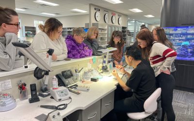 Hands-On Mio Training with Kite Saito CDT, MDC at Dental Designs Lincoln